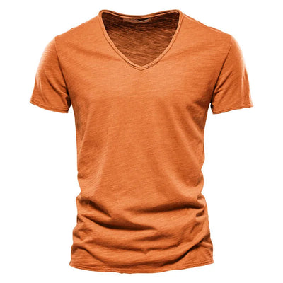 Diego™ | Camiseta de Verano con Cuello en V (1+1 Gratis)